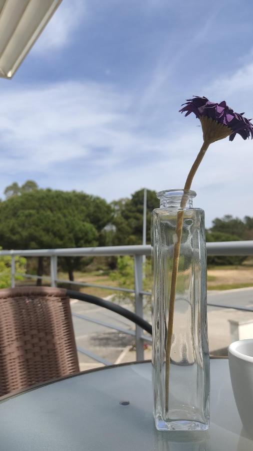Alojamento Local Verde E Mar Comporta Zewnętrze zdjęcie
