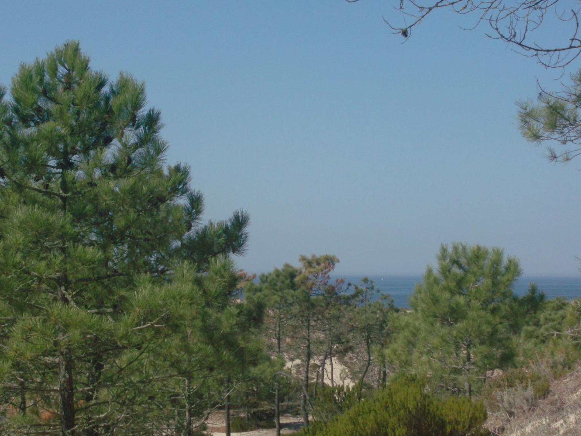 Alojamento Local Verde E Mar Comporta Zewnętrze zdjęcie